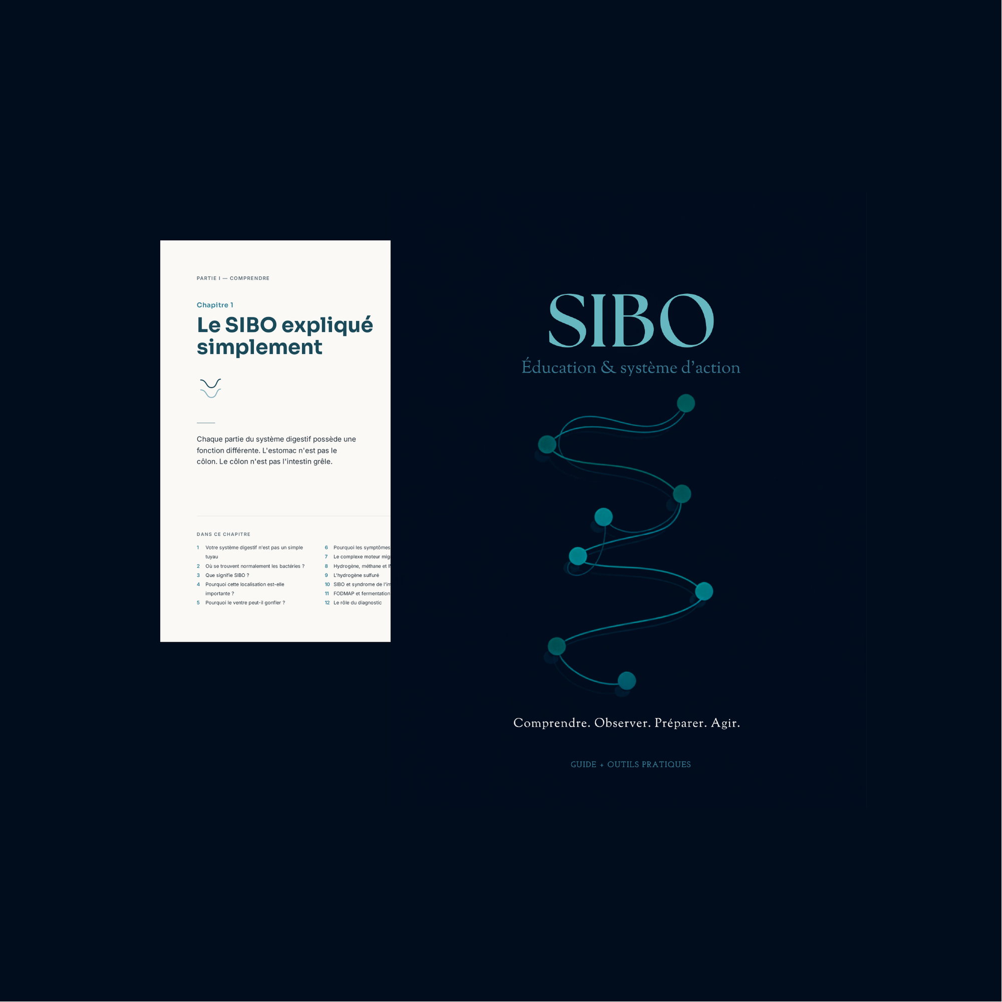 SIBO Education + Action System