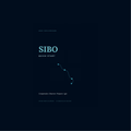 SIBO Quick Start